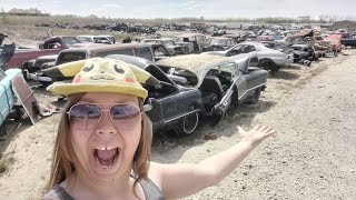 Classic car junkyard tour Bucks auto parts sherwood park [upl. by Newberry]