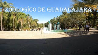 quotVisita al Zoológico de Guadalajaraquot [upl. by Aterg]