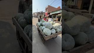 ⚡⚡ Pumpkin Sweet Making Process⚡⚡ shorts telugufoodie esangathulu streetfood foodie omelette [upl. by Ok391]