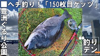 ヘチ釣りin豊洲ぐるり公園「150枚目もゲッツ」 [upl. by Burkle]