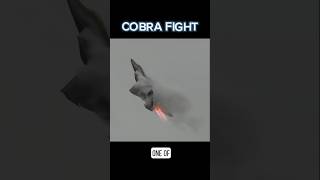 F22 Raptor in Action Epic Cobra Maneuver at Full Afterburner [upl. by Berty]