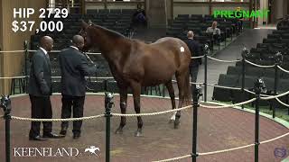 Keeneland Live Feed [upl. by Lacy109]