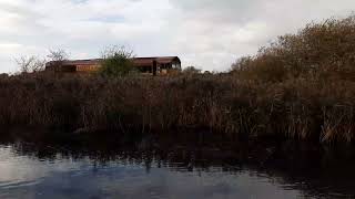 Train passing the Sankey canal [upl. by Neitsabes775]