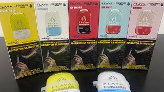 FLAVA FRIOBAR 9500 REVIEW [upl. by Aleak]