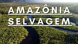 Amazônia Selvagem  Berço da vida  Documentário dublado HD [upl. by Waldo]