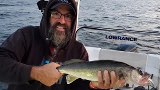 Oneida Lake Fishing Report  TUESDAY 081622  HUGE WALLEYE THIS MORNING [upl. by Assetak]