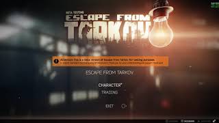 Escape From Tarkov well known move item bug 228 [upl. by Repmek]