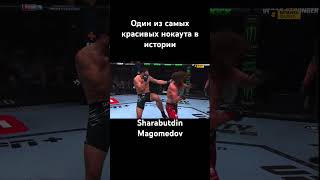 Sharabutdin Magomedov 😱😱 [upl. by Nidraj]