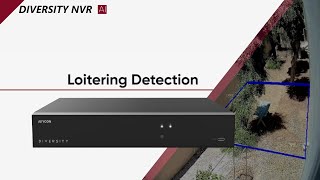 Diversity NVR  Loitering Detection [upl. by Cressler582]