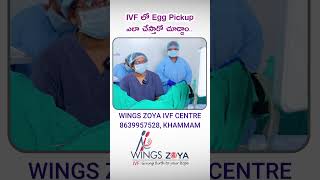 Egg Pickup Procedure in IVF  Dr Nymasulthana  Wings Zoya IVF Centre  Khammam [upl. by Powe]