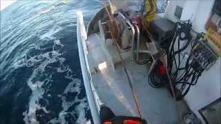 Seine Fishing for cod in Vesterålen of Norway [upl. by Aehtorod]