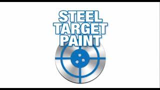 Steel Target Paint Podcast  Ep95  WSSC Open Reg [upl. by Shiller]