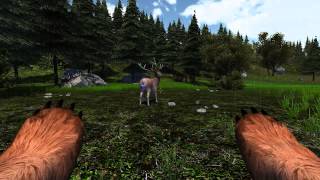 Bear Simulator  Stag Interaction [upl. by Hiltner]