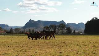 Ben Duncan heads back to Widden Stud to see how the farm is progressing [upl. by Glantz]