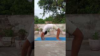 chakrasana halasana yoga [upl. by Aseram]