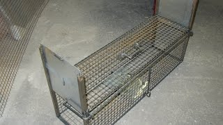 fabrication dun piège cage [upl. by Reinertson427]