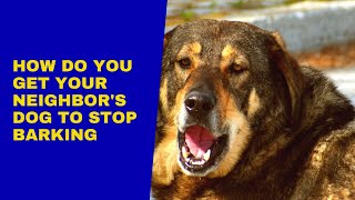 How Do You Get Your Neighbors Dog To Stop Barking [upl. by Wyly490]