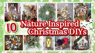 10 Favorite Nature Inspired Christmas DIY Decor  Rustic Christmas Decorations amp Ideas [upl. by Mcgee]