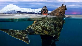 Spearfishing Giant Atlantic Halibut in the FREEZING Arctic [upl. by Lody597]