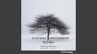 Schubert Winterreise D 911 Rückblick [upl. by Frannie]