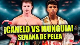 💣 ¡Guerra MEXICANA CANELO vs MUNGUIA arranca la SEMANA de PELEA 🤯 [upl. by Otrebla]