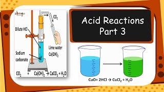 Chemistry – Metallic and nonmetallic oxides  Acids bases and salts  Part 3  English [upl. by Ikim]