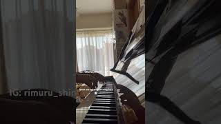 周國賢 Endy Chow — 《有時》 short cover shinki cover 翻唱 piano music 唱歌 [upl. by Ylehsa]