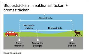 Allt du behöver inför teoriprovet  klara teoriprovet på 4 dagar endast med filmer Dag 3 del 1 [upl. by Dov]