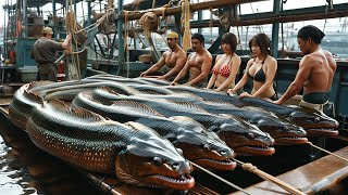 Giant Eel  American Fisherman Fights Giant Conger Eel in Alaska [upl. by Acenes]