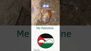 We molang palestina countryballs nowar [upl. by Notlehs]