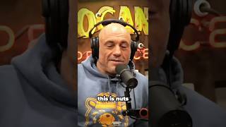 Joe Rogan Reacts On Teslas AI Robots 🤖 [upl. by Rennold]