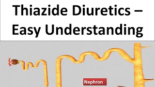 Hydrochlorthoazide Chlorthalidone Thiazide Diuretics  Pharmacology amp MOA How it works [upl. by Yehus]