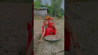 Aaj khet me aloo laga di 😯🥔😲289shorts short shortvideo [upl. by Anitnerolf]