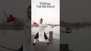 Tai Chi Sword martialarts health qigong [upl. by Skricki]