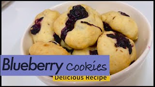 Homemade Blueberry Cookies Recipe  Soft amp Fluffy  Yummy amp Healthy Snack 12 [upl. by Win875]