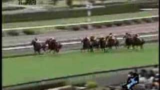 2007 関西ＴＶローズＳ Rose Stakes [upl. by Thury297]