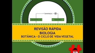 Revisão rápida  botânica o ciclo de vida dos vegetais [upl. by Toille706]