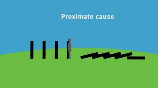 Proximate cause [upl. by Adnuhs]