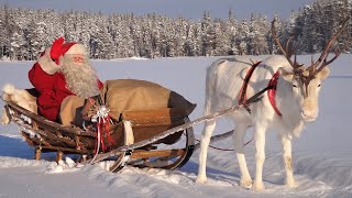 Mensaje de Santa Claus Papá Noel a los niños 😍🎄🎅 Feliz Navidad  Laponia Finlandia Polo Norte [upl. by Bakki978]