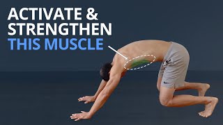 3 Top Exercises to Wake Up SERRATUS ANTERIOR PLUS Anatomy Explained [upl. by Lissa]