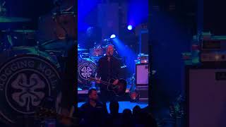 Flogging Molly  Another Bag of Bricks LIVE Clip  Albuquerque New Mexico March 13 2024 [upl. by Connett]