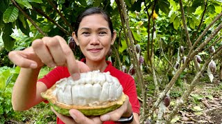 Sariling Harvest Tree to Bar Chocolate with Pilinut Talo ang Imported [upl. by Magel]