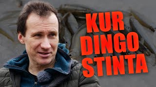 Pagavai paleisk principas ir ešeriai bei kur dingo stinta ichtiologas Kęstutis Skrupskelis [upl. by Slifka49]