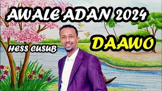 AWALE ADAN 2024 Hees Cusub DAAWO [upl. by Nuhsal]