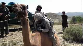 FUNNY US Soldier falls off camel [upl. by Yblok]