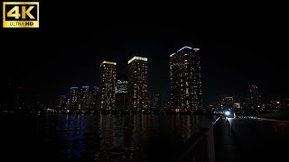 Toyosu Tokyo Night Walk [upl. by Burny198]