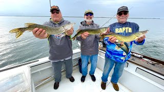 RAPTR Adventures Episode 33  Chain Pickerel Walleye amp Northern Pike in Chaumont Bay NY [upl. by Wilone]