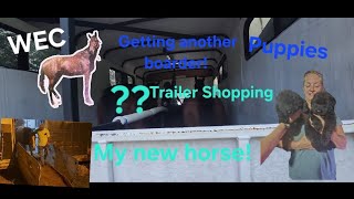 My New Horse Looking at puppies and horse trailers Traveling Bringing 2 New Horses home fun WEC [upl. by Thurnau149]