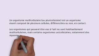 N°131organisme multicellulaire [upl. by Asiat]