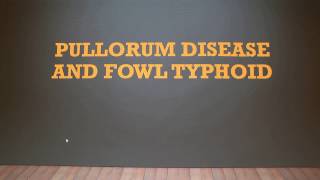 Pullorum Disease and Fowl Typhoid [upl. by Aleusnoc]